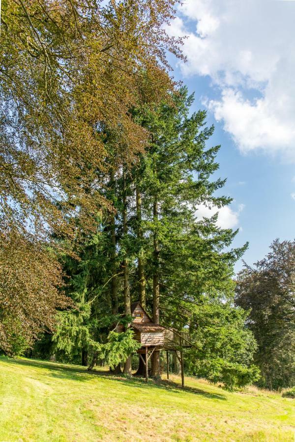 Domaine De Ronchinne - Insolites Maillen Экстерьер фото