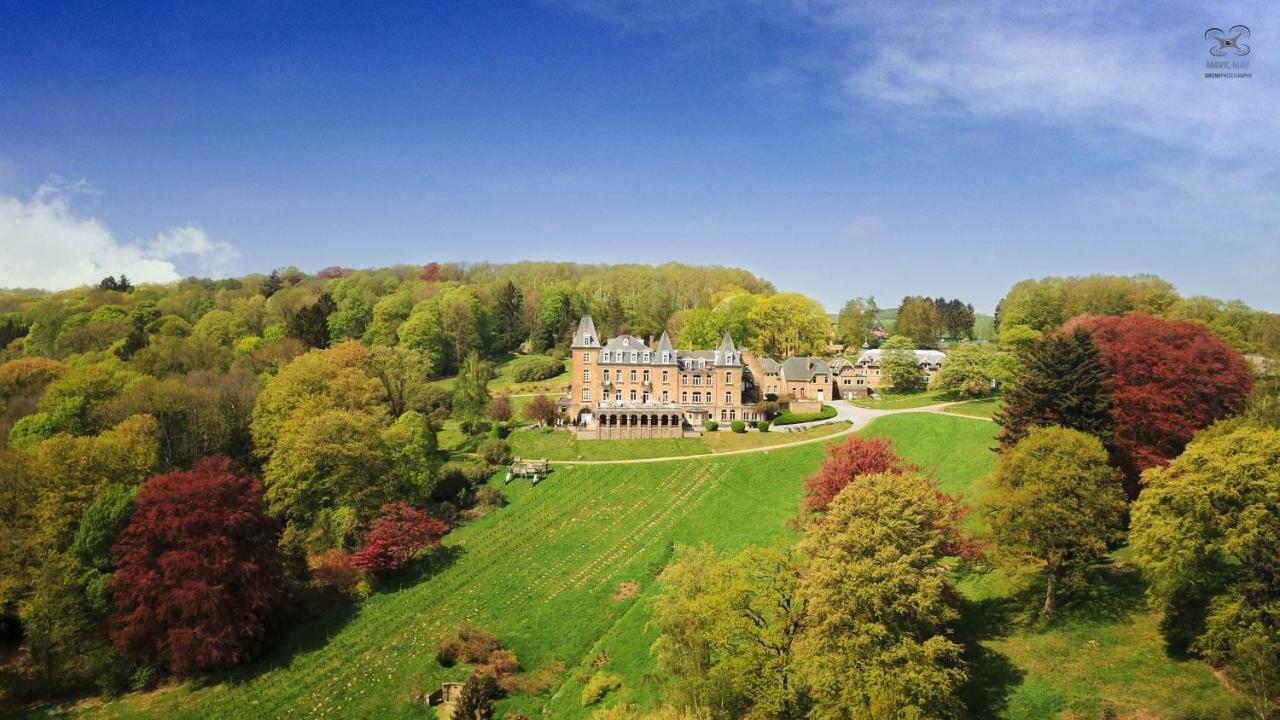 Domaine De Ronchinne - Insolites Maillen Экстерьер фото