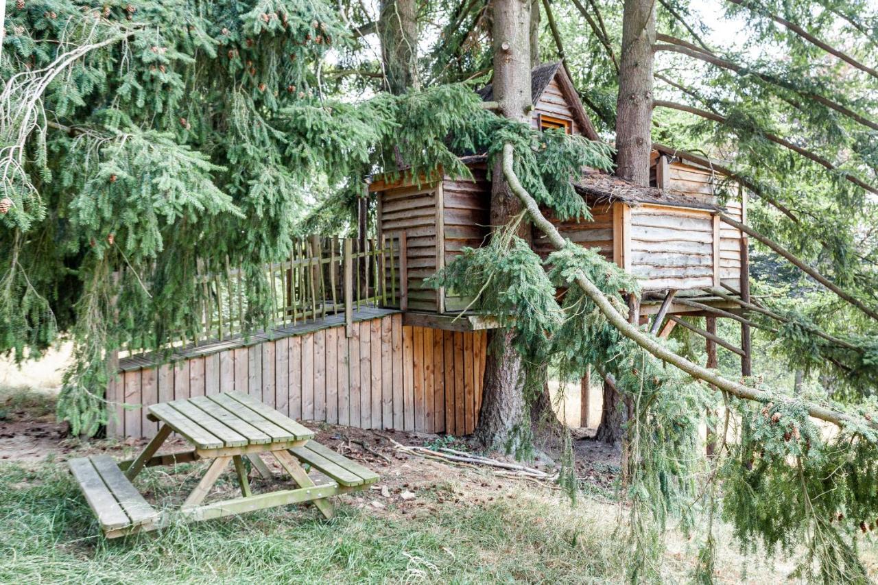 Domaine De Ronchinne - Insolites Maillen Экстерьер фото