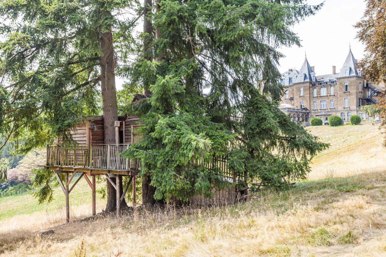 Domaine De Ronchinne - Insolites Maillen Экстерьер фото
